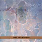 Pochette Masada Anniversary Edition, Volume 2: Voices in the Wilderness