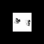 Pochette Rarities From Extremities