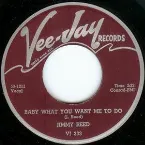 Pochette Baby What You Want Me to Do / Caress Me Baby