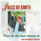 Pochette Voor de lui daar tussen in - Zijn 30 mooiste liedjes