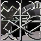 Pochette The Parallel