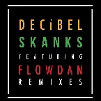 Pochette Skanks (The Remixes)