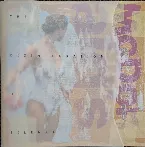 Pochette The Disintegration of Silence