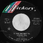 Pochette Is This the Best I’m Gonna Feel