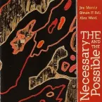 Pochette The Necessary And The Possible