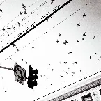 Pochette STRING THEORY