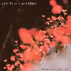 Pochette Wildflowers and Blood
