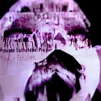 Pochette Princess Euthanasia Project