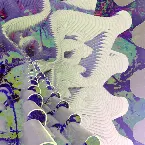 Pochette Collimation