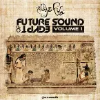 Pochette Future Sound of Egypt, Volume 1