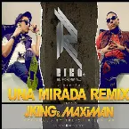 Pochette Una mirada (remix)
