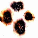 Pochette Gauge Amber Tones