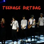 Pochette Teenage Dirtbag