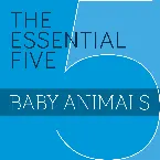 Pochette The Essential Five
