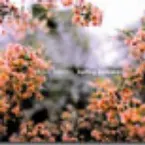 Pochette Spring Estuary