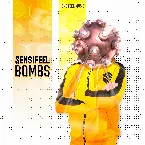 Pochette Bombs