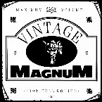 Pochette Vintage Magnum Electric & Acoustic
