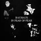 Pochette In Fear of Fear