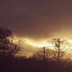 Pochette Frequencies Worst