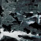 Pochette A MURDER OF CROWS