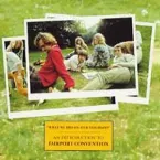 Pochette "What We Did on Our Holidays" An Introduction to Fairport Convention