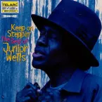 Pochette Keep on Steppin’: The Best of Junior Wells