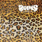 Pochette Heavy Rocks