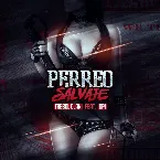 Pochette Perreo salvaje
