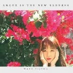Pochette Anger Is the New Sadness