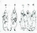 Pochette Like the Dust Under a Mother’s Knife