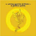 Pochette The String Quartet Tribute to A Perfect Circle