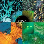 Pochette We Are