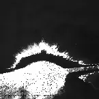 Pochette fully submerged vi.ashes.dust