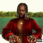 Pochette Afro Pop, Vol. 1