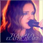 Pochette Elastic Heart