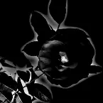 Pochette 幻想の花