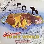 Pochette Welcome To My World