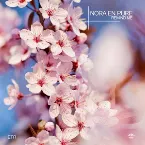Pochette Remind Me