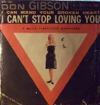 Pochette I Can Mend Your Broken Heart