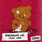 Pochette Breaking Me