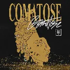 Pochette Comatose