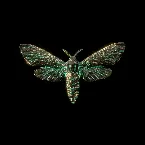 Pochette Death by a Thousand Cuts