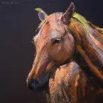 Pochette 뻔한 치킨