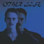 Pochette Other Life