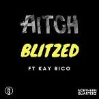 Pochette Blitzed