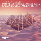Pochette I Won't Let You Fall (Aneesh Gera Galaxy Traveler Ambient Remix)