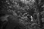 Pochette A Man Lost in Space, Waits on the Road and His Dreams Are Fading Fast, His Hair Is Long and His Face Is Timid; But When His Eye Is on the Road and He Sees the Light, He Comes Here Like a King at Night, and When He's in the Zone, He's t