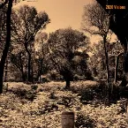 Pochette 2020 Visions (The Tear Garden Anthology Part 3 - 2000 to 2020)