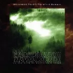 Pochette The Witch Hammer