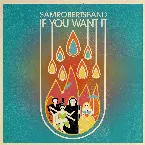 Pochette If You Want It